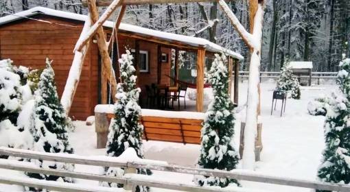 "Forest House "в Беловежской пуще(закрытая территория), д. Ляцкие  - kvartirka.by