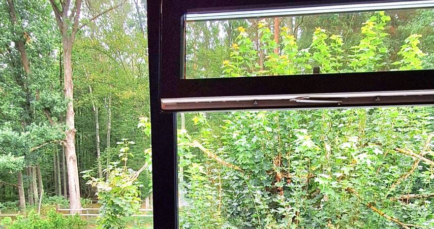 &Quot;Forest House "в Беловежской пуще(закрытая территория парка) в Брестской области, д. Ляцкие, д. 7 кв. 1  изображение 11 - kvartirka.by