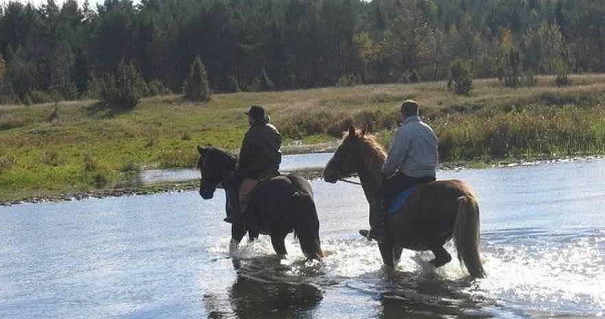 Усадебный комплекс БАВАРИЯ в Минской области, д.Сосенка, ул.Заречная, 29.  изображение 121 - kvartirka.by