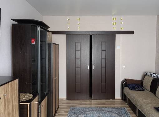 Чижовка Арена, Дельфинарий, Институт МЧС  - kvartirka.by