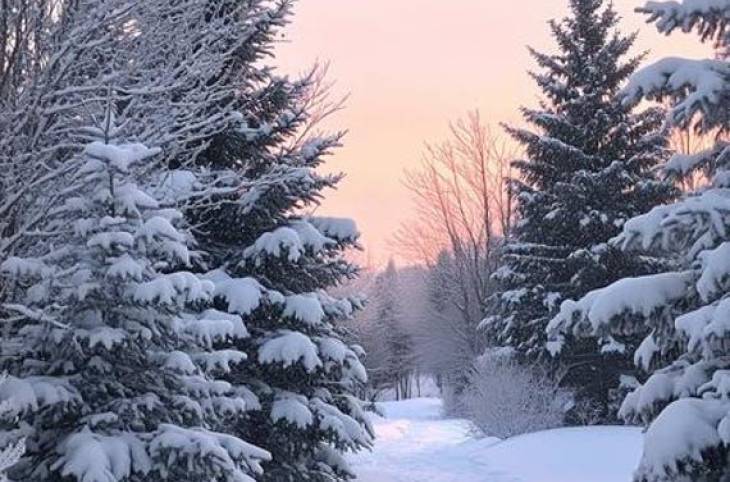 1-Комнатная квартира на сутки в  Полоцке,  Хруцкого ул., 1к2    изображение 1 - kvartirka.by