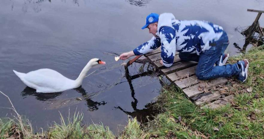  Избушка в Янушках в Минской области, д.Янушки, ул.Центральная улица, д.19  изображение 35 - kvartirka.by