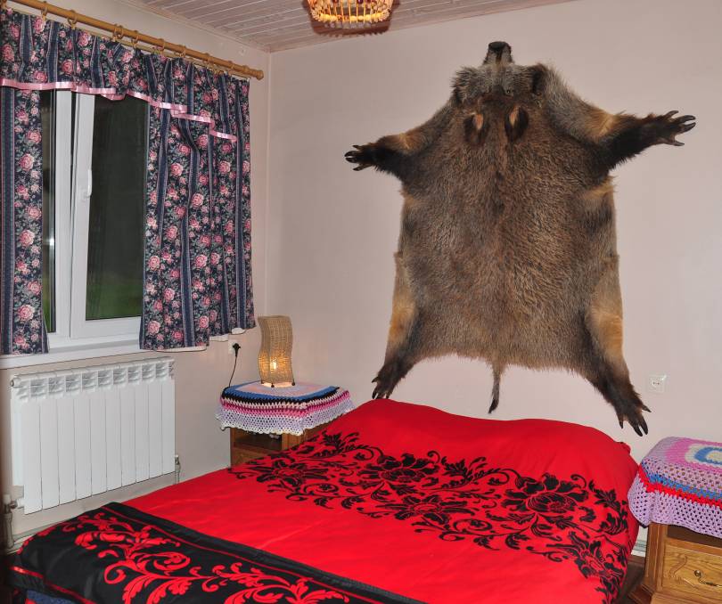  Избушка в Янушках - kvartirka.by