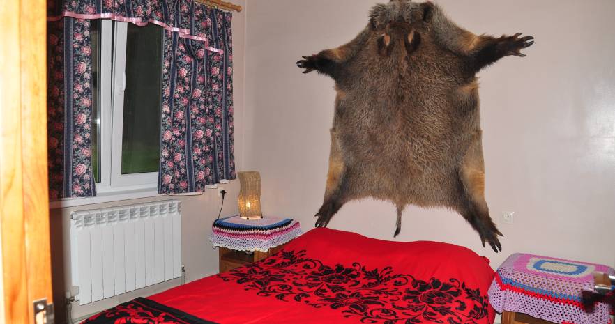  Избушка в Янушках в Минской области, д.Янушки, ул.Центральная улица, д.19  изображение 17 - kvartirka.by