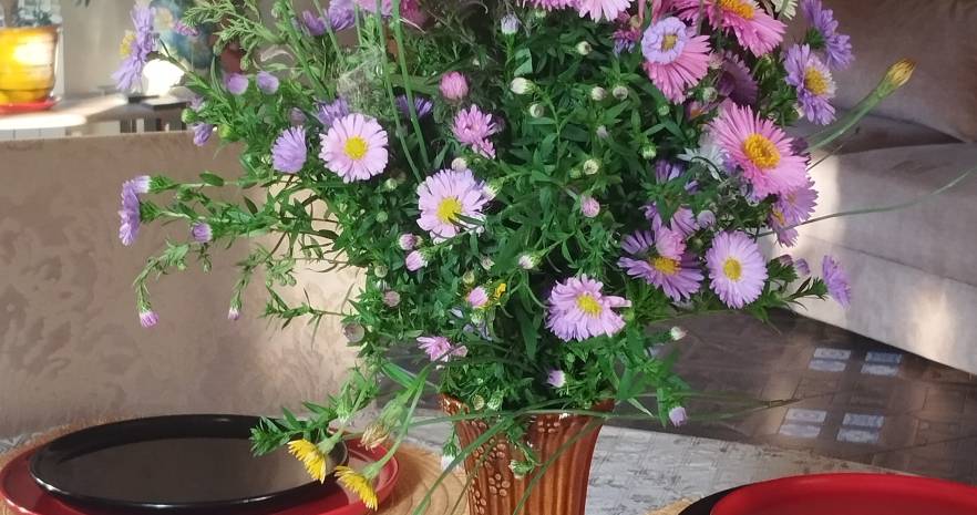  Избушка в Янушках в Минской области, д.Янушки, ул.Центральная улица, д.19  изображение 47 - kvartirka.by