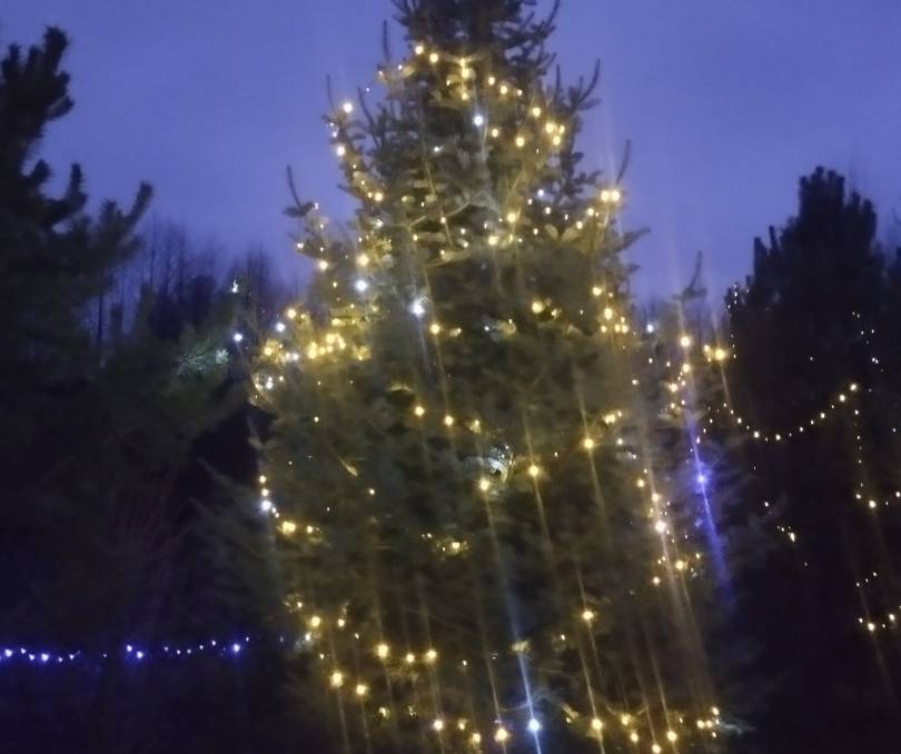  Избушка в Янушках - kvartirka.by