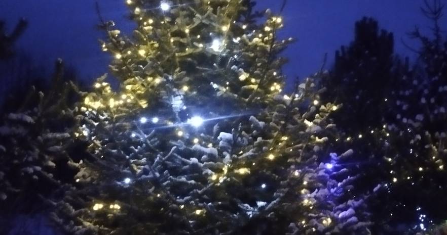  Избушка в Янушках в Минской области, д.Янушки, ул.Центральная улица, д.19  изображение 18 - kvartirka.by