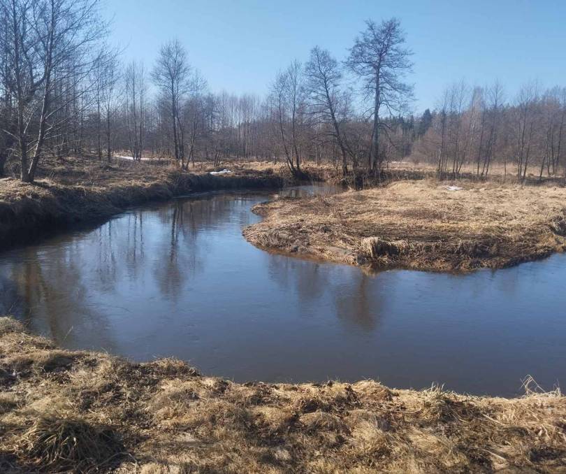  Избушка в Янушках - kvartirka.by