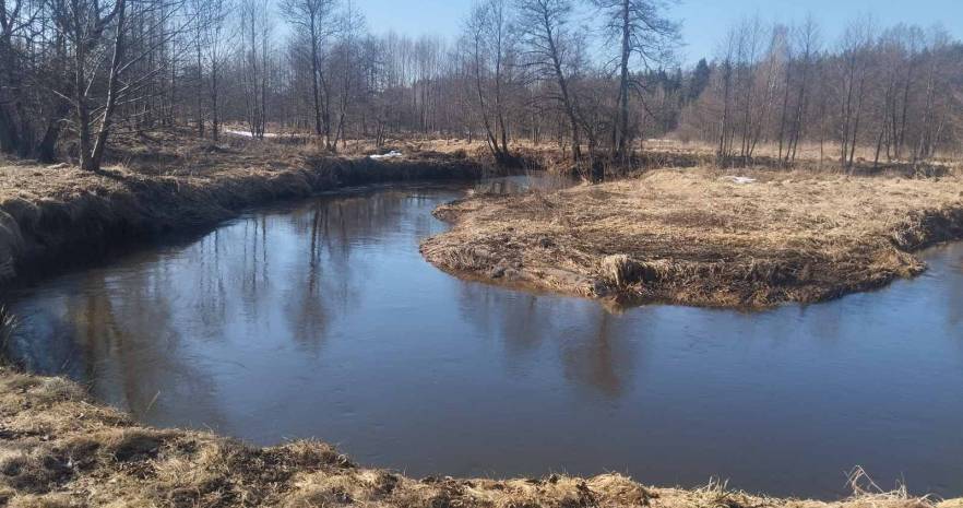  Избушка в Янушках в Минской области, д.Янушки, ул.Центральная улица, д.19  изображение 4 - kvartirka.by