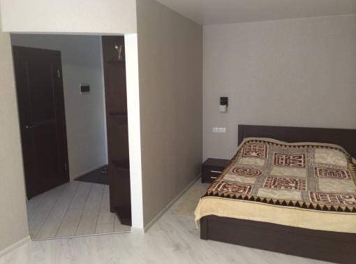 Однокомнатная квартира VIP (кондиционер+бойлер) - kvartirka.by