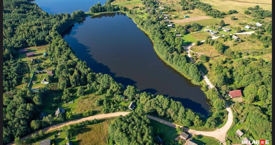 Медвежья Сила  в Витебской области, Д. Замошье, Великодолецкий сельсовет, д. 1А  изображение 2 - kvartirka.by