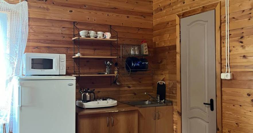 Семейный отдых на берегу оз.Ельно в Витебской области, х.Петуховщина, д.4  изображение 9 - kvartirka.by