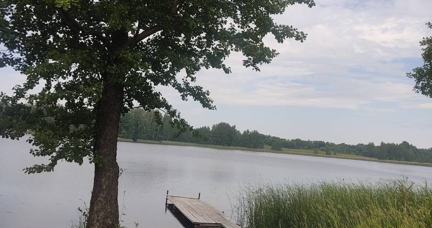 Семейный отдых на берегу оз.Ельно в Витебской области, х.Петуховщина, д.4  изображение 14 - kvartirka.by