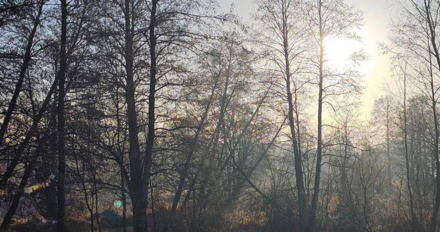 Чорны Вір в Гродненской области, Сопоцкинский сельсовет, д.Кадыш, 16  изображение 2 - kvartirka.by