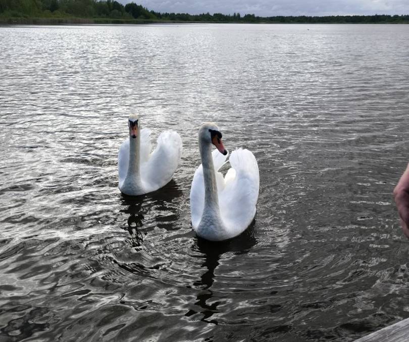 Усадьба Черница - kvartirka.by