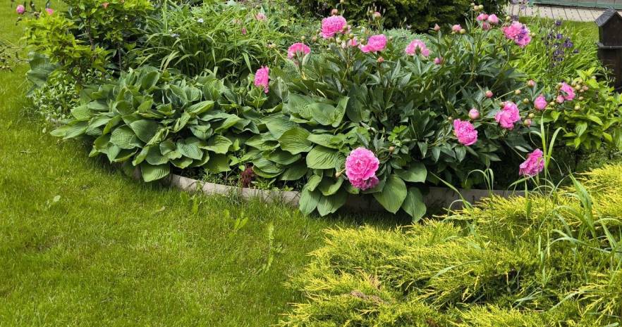 Усадьба Черница в Минской области, д.Черница, ул. Магистральная, 34  изображение 4 - kvartirka.by