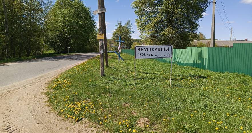 Агроусадьба "Место встречи" в Минской области, д. Янушковичи, ул. Школьная, дом 6  изображение 14 - kvartirka.by