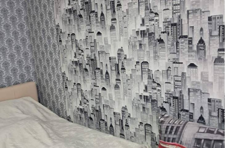 2-Комнатная квартира на сутки в  Лиде,  Космонавтов ул., 16 к2    изображение 2 - kvartirka.by