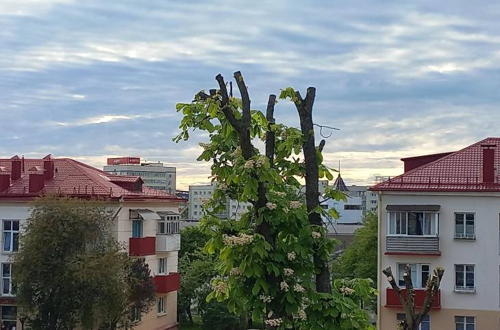 Студия на сутки в  Гродно,  Менделеева ул., 37/1    изображение 17 - kvartirka.by