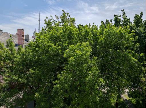 Квартира на сутки - kvartirka.by