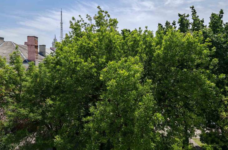 1-Комнатная квартира на сутки в  Гомеле,  Рогачёвская ул., 2    изображение 7 - kvartirka.by