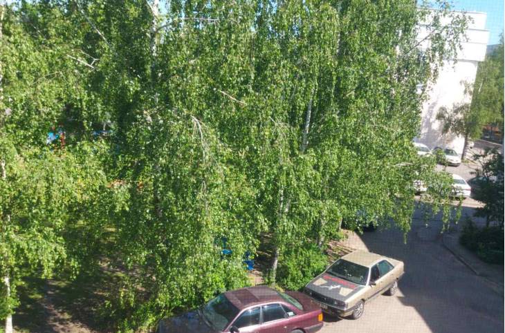 1-Комнатная квартира на сутки в  Витебске,  Советская ул., 7    изображение 7 - kvartirka.by