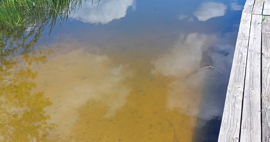 Усадьба Околица в Витебской области, д.Большое Абабье, ул. Садовая дом, д.4  изображение 16 - kvartirka.by