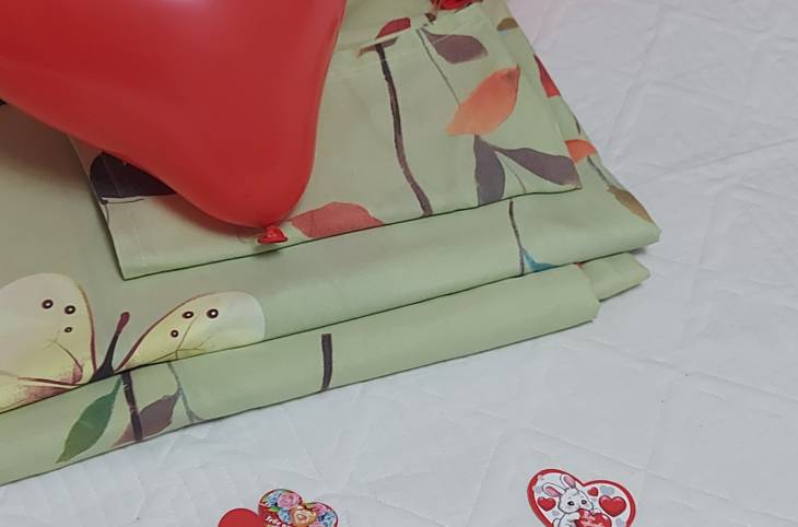 3-Комнатная квартира на сутки в  Светлогорске,  Калинина ул., 7В    изображение 4 - kvartirka.by