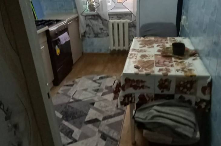 2-Комнатная квартира на сутки в  Бресте,  Гаврилова ул., 23    изображение 9 - kvartirka.by