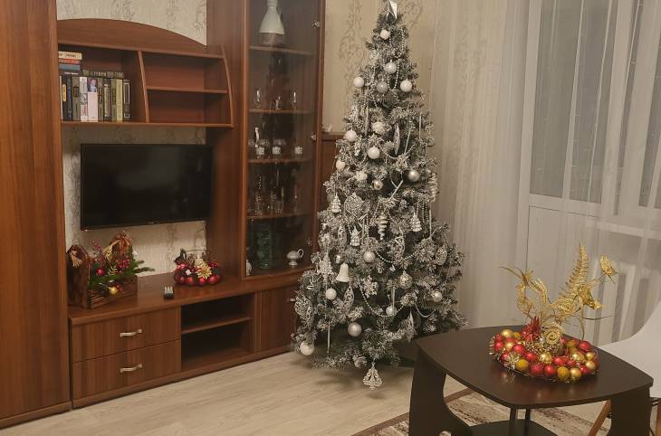 1-Комнатная квартира на сутки в  Минске,  Короля ул., 9a    изображение 1 - kvartirka.by