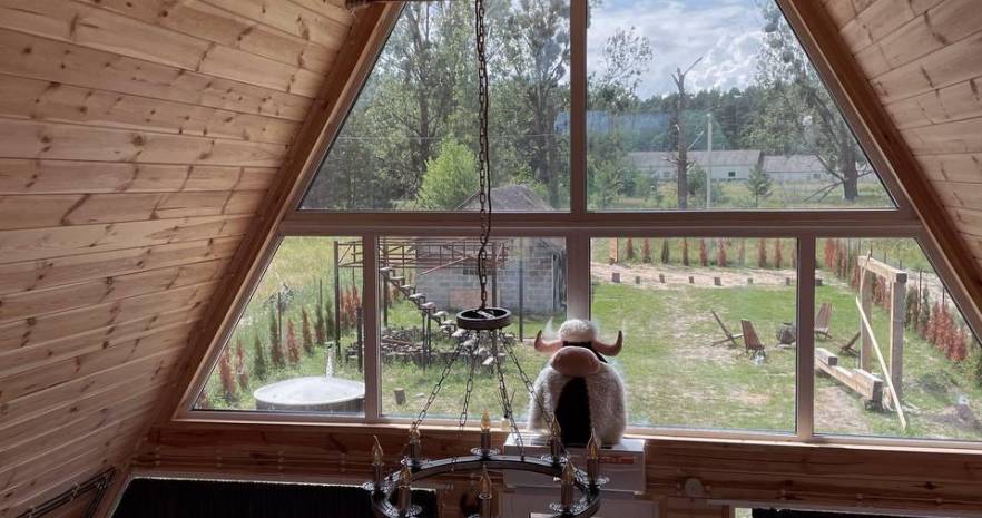 A-Frame, Дом в Беловежской пуще в Брестской области, д.Пашуки, д.7А  изображение 8 - kvartirka.by