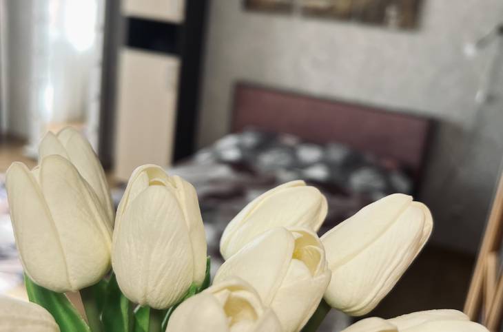 1-Комнатная квартира на сутки в  Минске,  Якубова ул., 2    изображение 1 - kvartirka.by