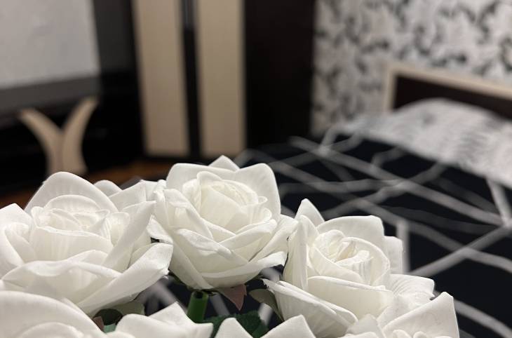 3-Комнатная квартира на сутки в  Минске,  Рокоссовского пр., 123    изображение 1 - kvartirka.by