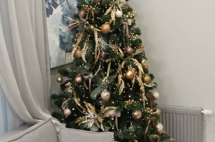 1-Комнатная квартира на сутки в  Минске,  Жореса Алферова ул., 10   изображение 3 - kvartirka.by