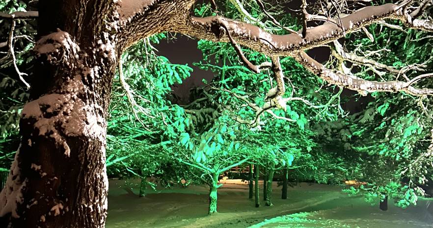 Три лисы в Минской области, д.Воловщина, ул. Центральная, д. 34  изображение 20 - kvartirka.by