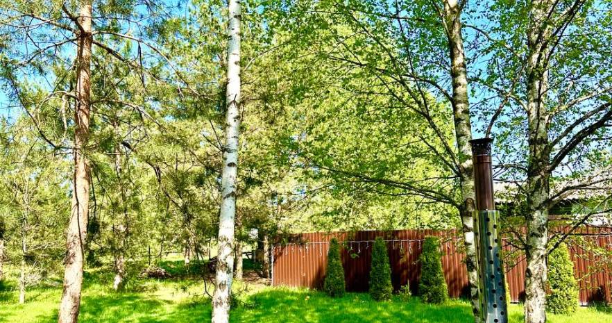 Три лисы в Минской области, Воловщина ул.Центральная 34  изображение 6 - kvartirka.by
