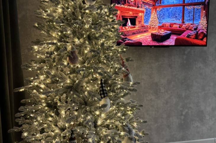 1-Комнатная квартира на ночь в  Витебске,   Жореса Алфёрова ул., 5    изображение 8 - kvartirka.by