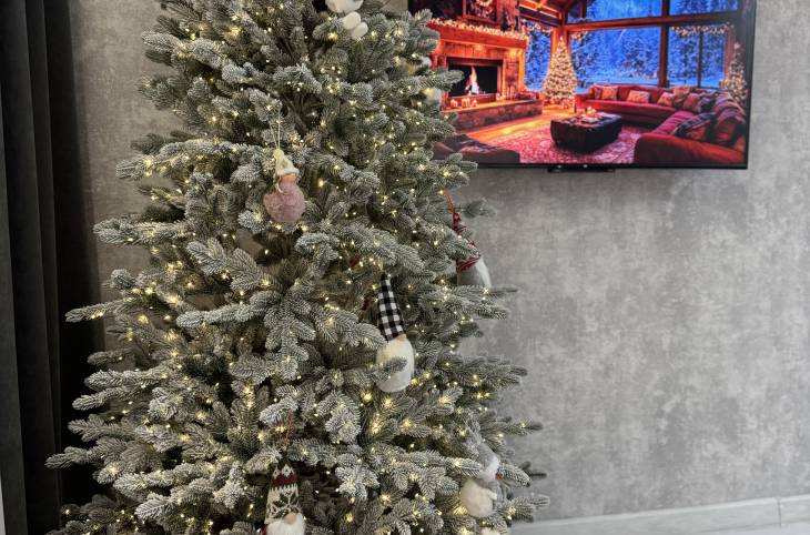 1-Комнатная квартира на ночь в  Витебске,   Жореса Алфёрова ул., 5    изображение 6 - kvartirka.by