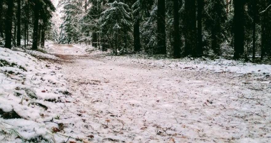 Усадьба Старина с баней и купелью в Минской области, д.Старина  изображение 26 - kvartirka.by