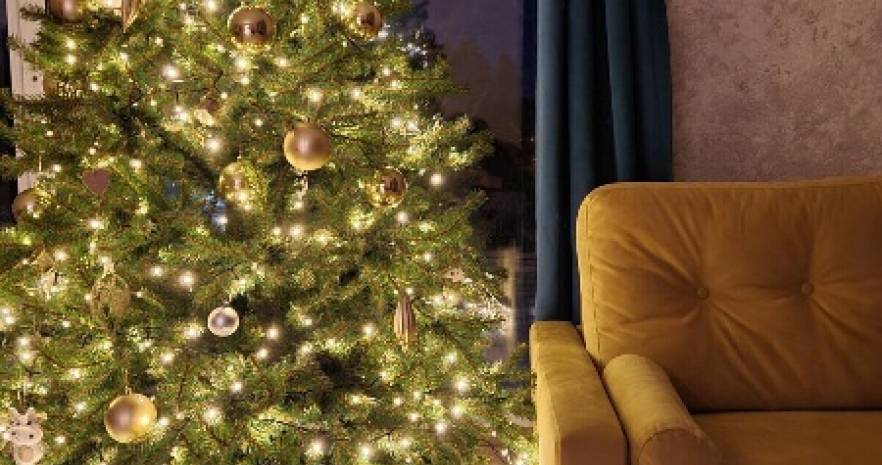 Усадьба Старина с баней и купелью в Минской области, д.Старина  изображение 14 - kvartirka.by