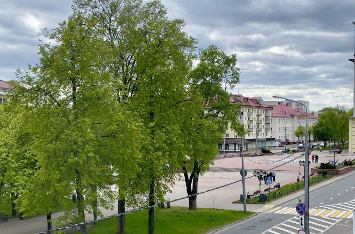 3-Комнатная квартира на сутки в  Полоцке,  Скорины Франциска пр-т., 21    изображение 12 - kvartirka.by