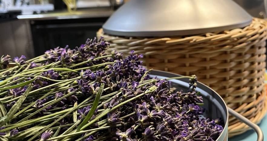 Арт-Усадьба Дольче Вита в Витебской области, Сорочинский сельсовет, д.Корсаково, д.38  изображение 21 - kvartirka.by