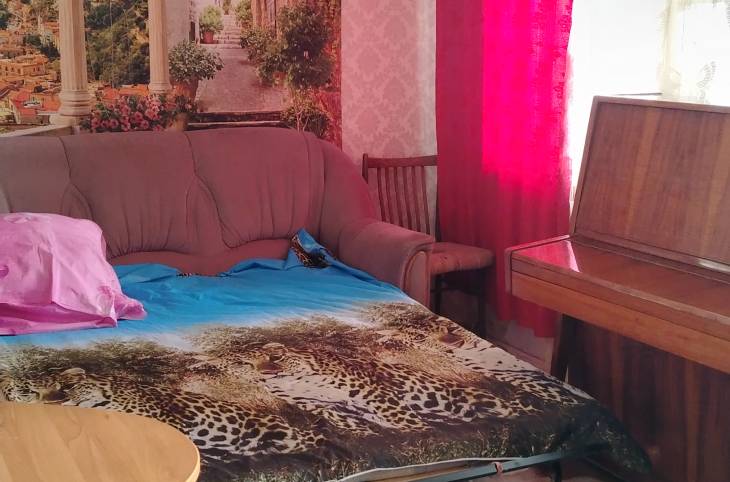 1-Комнатная квартира на сутки в  Гомеле,  Владимирова ул., 57    изображение 1 - kvartirka.by