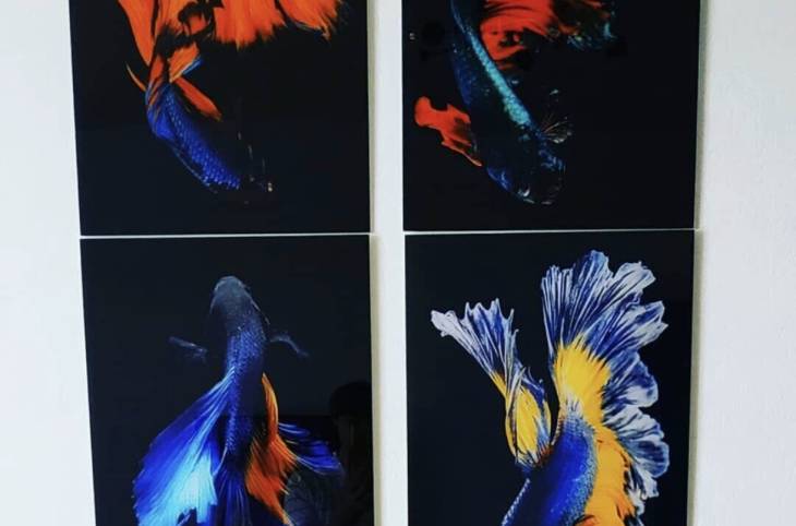 1-Комнатная квартира на сутки в  Гомеле,  Международная ул., 30    изображение 9 - kvartirka.by