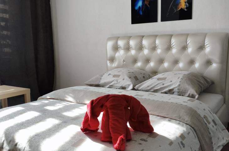 1-Комнатная квартира на сутки в  Гомеле,  Международная ул., 30    изображение 1 - kvartirka.by