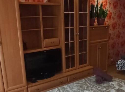 Комфортная квартира на Соже - kvartirka.by