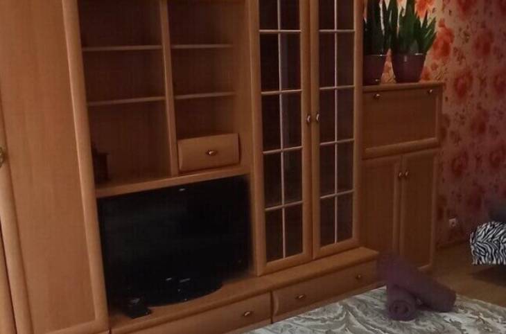 1-Комнатная квартира на час в  Гомеле,  Песина ул., 27    изображение 1 - kvartirka.by