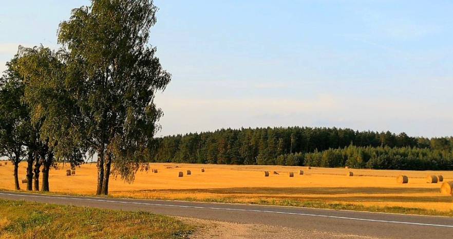 Казачий стан в Гродненской области, А.г Гнезно  изображение 3 - kvartirka.by