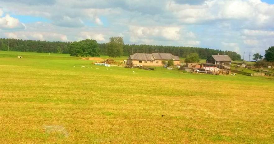 Казачий стан в Гродненской области, А.г Гнезно  изображение 4 - kvartirka.by