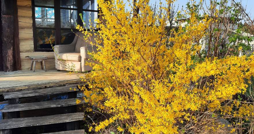 Казачий стан в Гродненской области, А.г Гнезно  изображение 14 - kvartirka.by